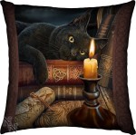 Coussin The witching hour chat 42 cm